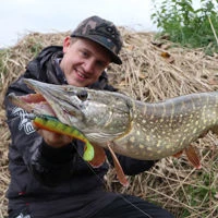Fox Rage Loaded Zander Pro Shads